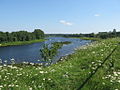 Pärnu river.jpg