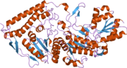 Thumbnail for Pyruvate dehydrogenase (lipoamide) beta