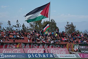 Palestino - Universidad de Concepción, 2018-05-06 - Hinchada de Palestino - 01.jpg