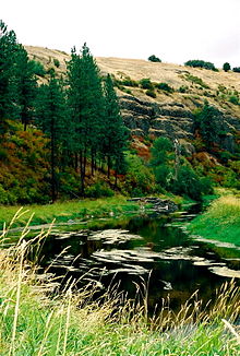 Flere miles nedstrøms fra mundingen af ​​dets South Fork ved Colfax;  Ser vest (2007)