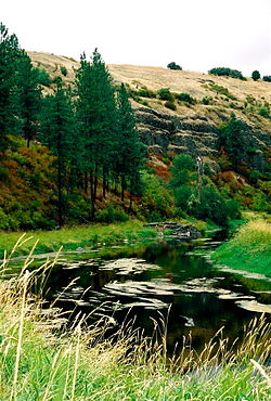 Palouse River