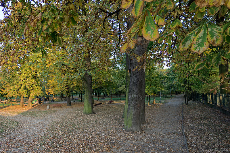 File:Park Briggsów w Markach.jpg