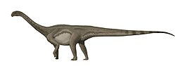 Miniatura para Patagosaurus fariasi