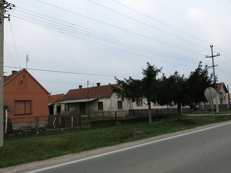 File:Petlovača, Ulica, 02.jpg