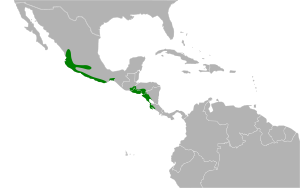 Peucaea ruficauda map.svg