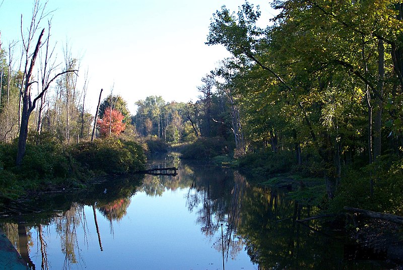 File:Photo of the Week - Oak Orchard Creek (NY) (6460147129).jpg