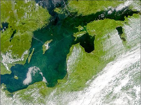 Tập_tin:Phytoplankton_bloom_in_the_Baltic_Sea_(July_3,_2001).jpg