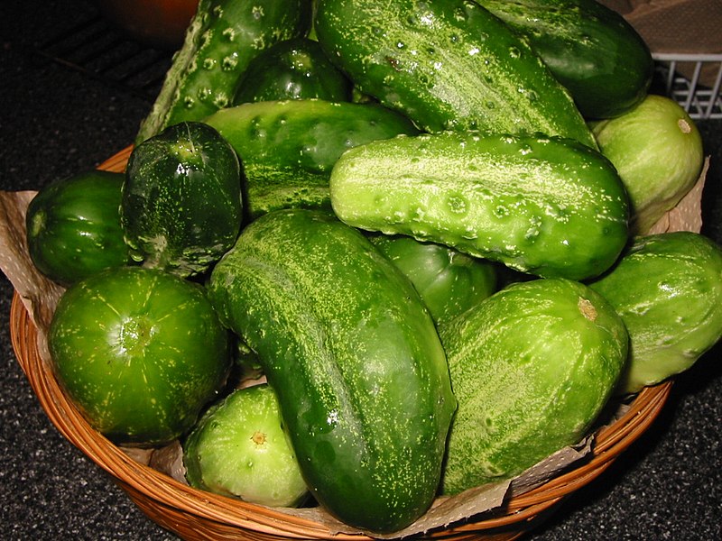 File:PicklingCucumbers.jpg