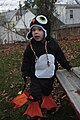 Pingu, Oliver's Halloween costume.jpg