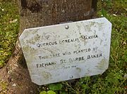 Plaque marking a tree planted by St Barbe Baker in --Powerscourt--, --Enniskerry--, --Ireland-- 2013-08-27 21-54
