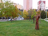 Praha - Libuš, Park U Zahrádkářské kolonie - Dendrologická stezka