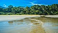 Praia da Fazenda, Unidade de Conservação Núcleo Picinguaba - Imagem 04.jpg