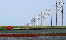 Prairie Rainbow Canola Flax.jpg