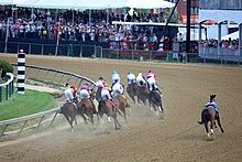 Preakness Stakes Chart