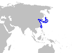 Pristiophorus japonicus-distmap.png