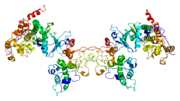 Thumbnail for Casein kinase 2, alpha 1