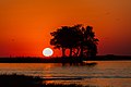 * Nomination Sunset over the Chobe River, Chobe National Park, Botswana --Poco a poco 10:47, 19 December 2018 (UTC) * Promotion  Support Good quality.--Famberhorst 16:50, 19 December 2018 (UTC)