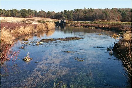 Quashnet River photo