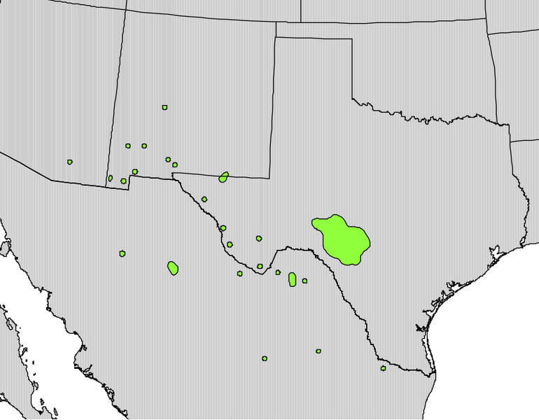 File:Quercus pungens range map.jpg