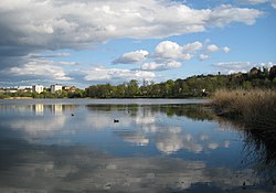 Blick auf den See