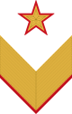 RKKA 1940 şerit OF6 OF7 OF8 general.svg