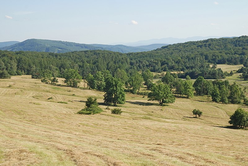 File:Radocyna, na przełęczy Pod Dębim Wierchem (HB11).jpg