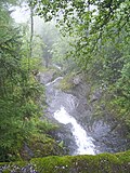 Vignette pour Forêts côtières de conifères scandinaves