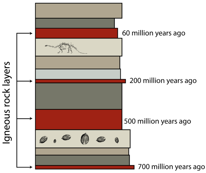 File:Relative dating of fossils.png