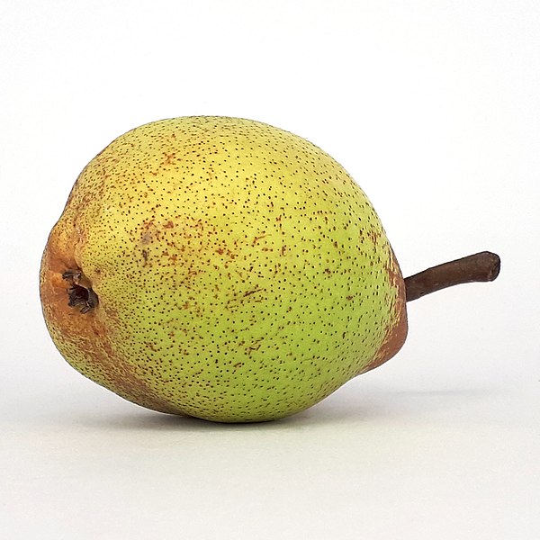 File:Rocha Pear 2017 C3.jpg