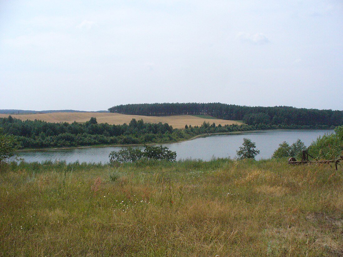 Jezioro Borzyszkowskie