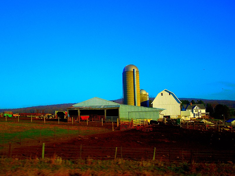 File:Ryser Family Farm - panoramio.jpg