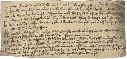 Fotografia colorida de uma petição do século XIII ao rei dos aldeões