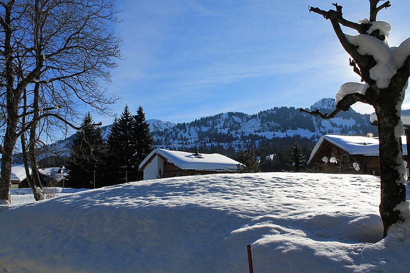 File:Saanenmöser - Plani - Rellerli - panoramio (1).jpg