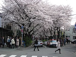 桜坂 大田区 Wikipedia