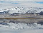 Salar del Huasco, Regiunea Tarapacá.JPG