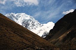 View from the Trek.