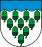 Elbtalaue (commune generale): insigne