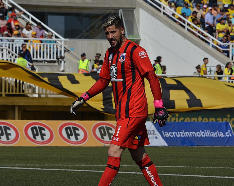 File:San Luis - Colo-Colo, 2018-04-08 - Agustín Orion - 03.jpg