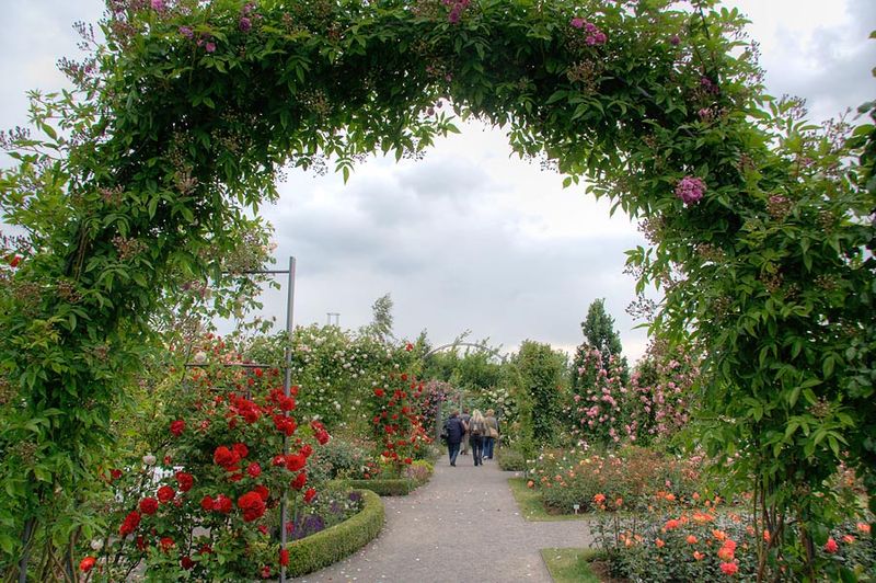 File:Sangerhausen Rosarium.jpg