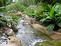 Une des attractions nouvelles est le ruisseau de Sacara dans la zone de Tanglin Core.