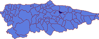 <span class="mw-page-title-main">Sariego</span> Municipality in Asturias, Spain