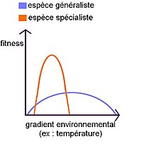 Schéma de la fitness des espèces spécialistes et généralistes en fonction d’un gradient environnemental