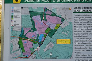 Schleswig-Holstein, Großenaspe, NSG Halloher Moor, Brandsheide und Könster Moor NIK 6194.jpg