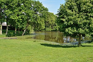 Schleswig-Holstein, Kollmar, Naturdenkmal NIK 6277.JPG