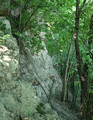 <span class="mw-page-title-main">Schoonmaker Reef</span> Fossilized reef in Wauwatosa, Wisconsin