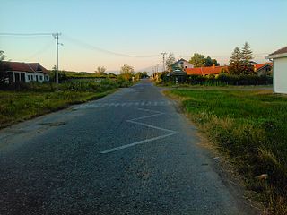 <span class="mw-page-title-main">Gornja Jajina</span> Village in Jablanica District, Serbia
