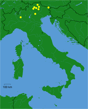 Campionato Italiano Di Hockey Su Ghiaccio 2006-2007