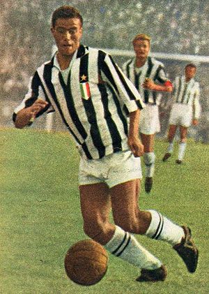 Serie A 1958-59 - Juventus v Napoli - Bruno Nicolè (cropped).jpg