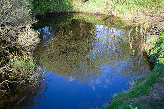 <span class="mw-page-title-main">Shannon Pot</span> Pool, traditional source of the River Shannon