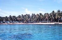 Lagoon shoreline on Majuro Shoreline majuro.jpg